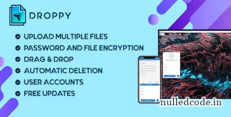 Droppy v2.4.8 - Online file transfer and sharing - nulled